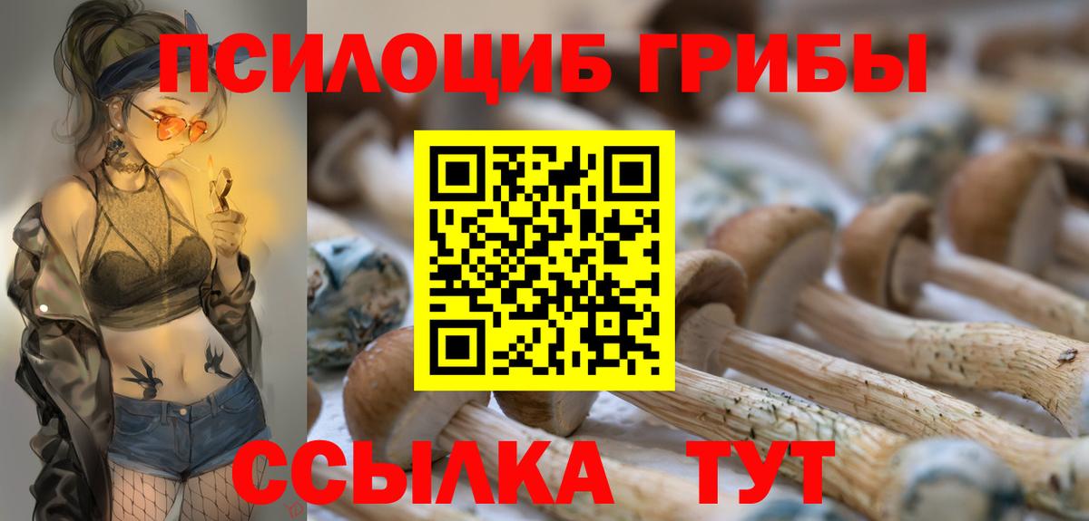 Псилоцибиновые грибы мицелий  Вход с VPN  Сорочинск 